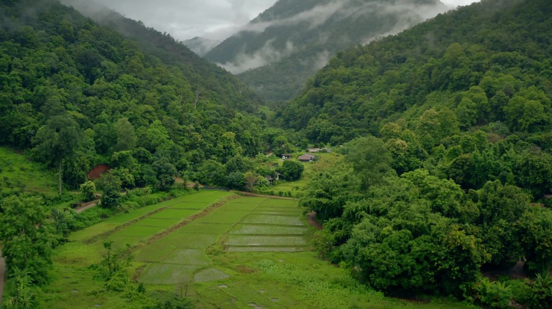 Зелёные горы (долина) Тайланда