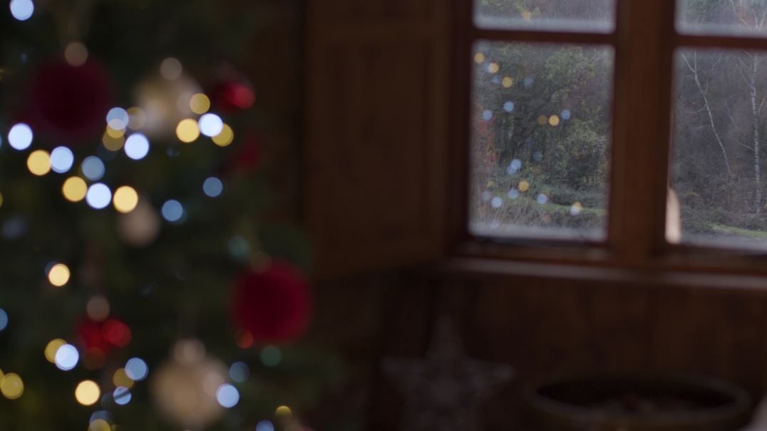 Рождественская ёлка на фоне окна со смещением фокуса