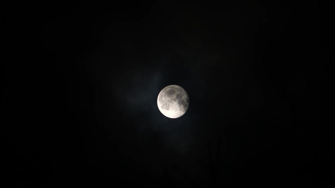 Белая луна в ночном небе